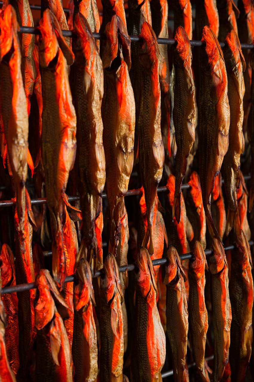 FSA guidance - ready-to-eat smoked salmon - smoked fish