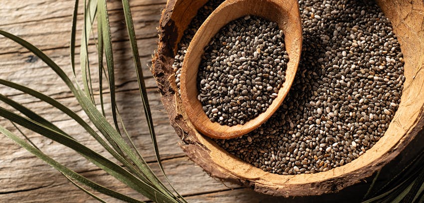 Best foods for fatigue - Chia seeds