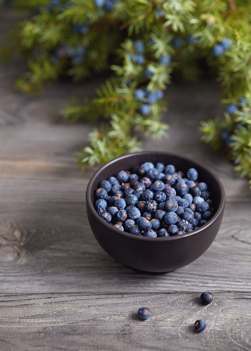What is gin? Juniper berries