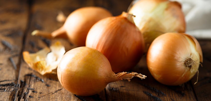 Best slow cook ingredients -  onions