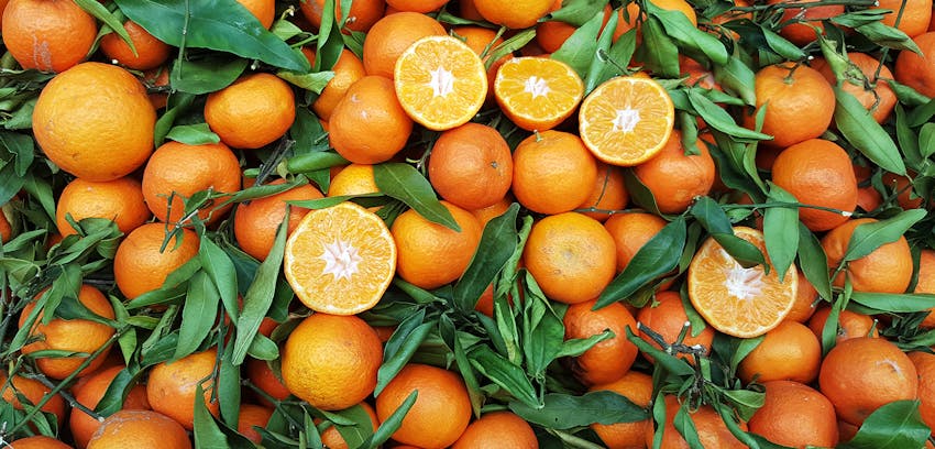 Best foods for colds - oranges and citrus fruits