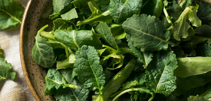 Best foods for colds - spinach and kale