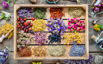 The best foods for stress relief The best foods for stress relief