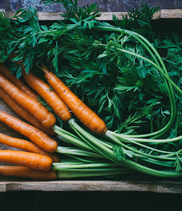 Carrot benefits and more Carrot benefits and more
