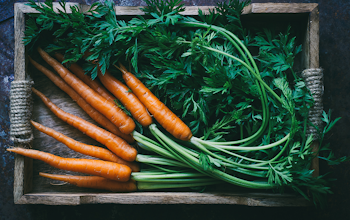 Carrot benefits and more Carrot benefits and more