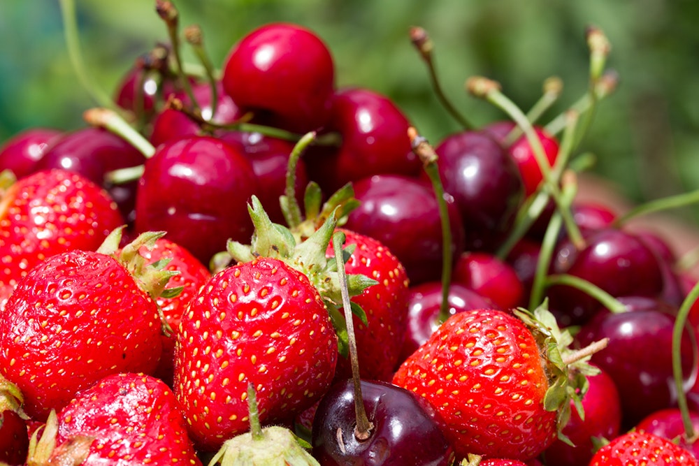 Spring fruits in the UK