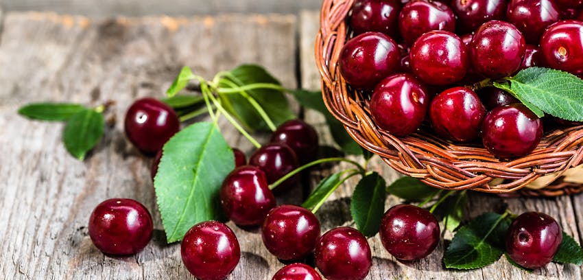 Spring fruits in the UK  -  cherries