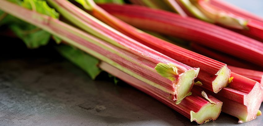 Spring fruits in the UK  -  rhubarb