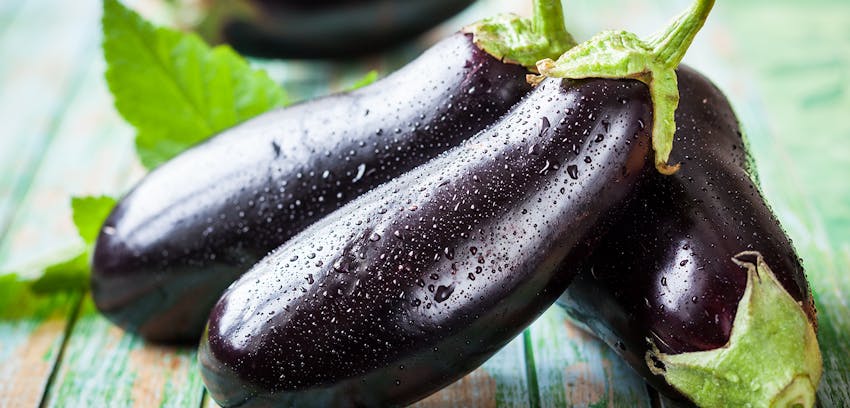 Summer seasonal foods in the UK  - aubergine