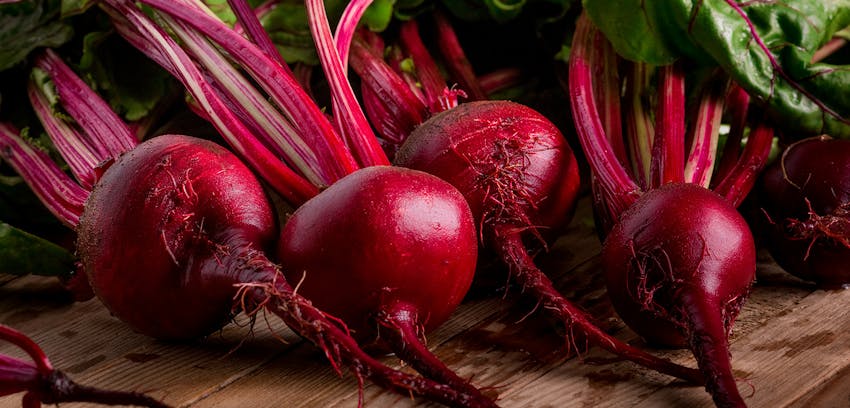 Summer seasonal foods in the UK  - beetroot