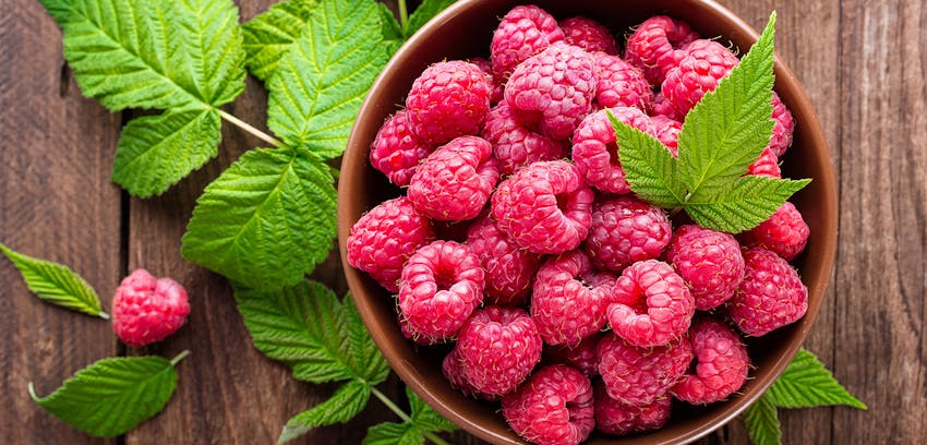 Summer seasonal foods in the UK  - raspberries