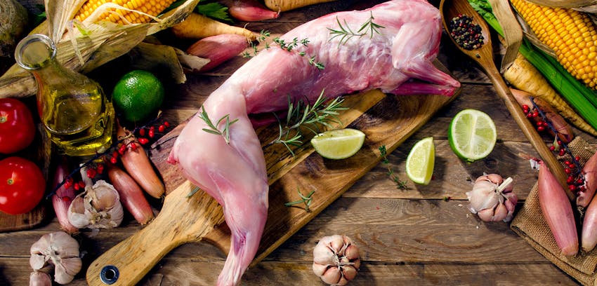 Summer seasonal foods in the UK  - wild rabbit