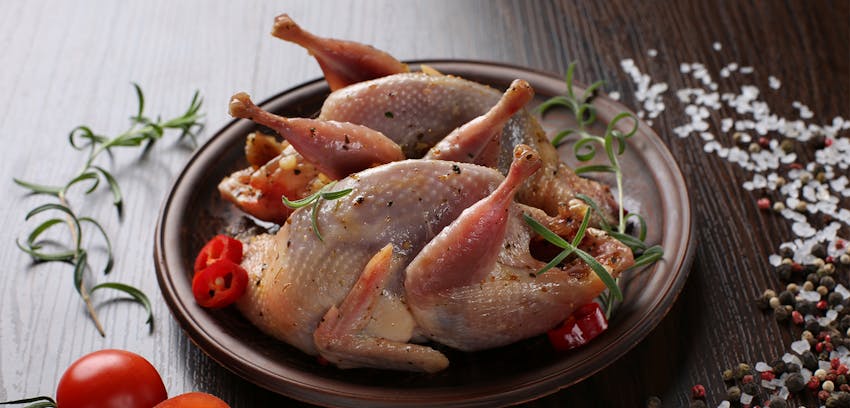 Summer seasonal foods in the UK  - wood pigeon