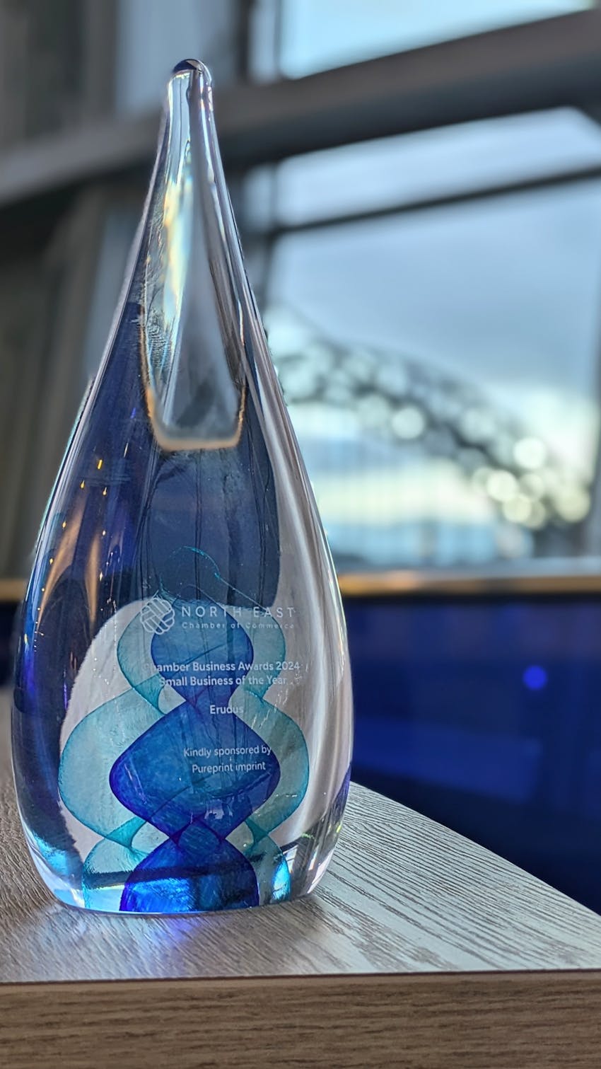 Erudus out and about: May and June 2024 - Erudus's Chamber Business Award