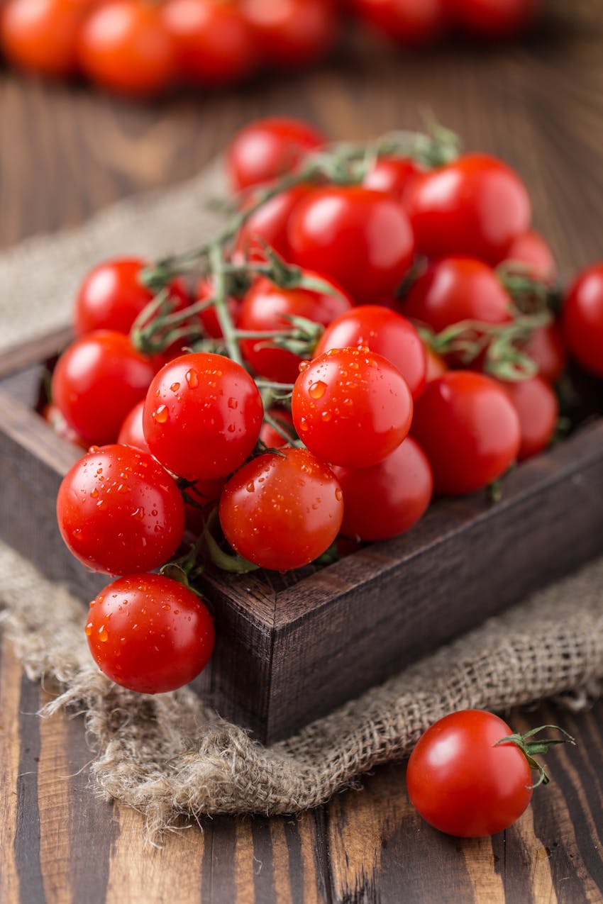 Easy summer soups - Tomatoes for gazpacho