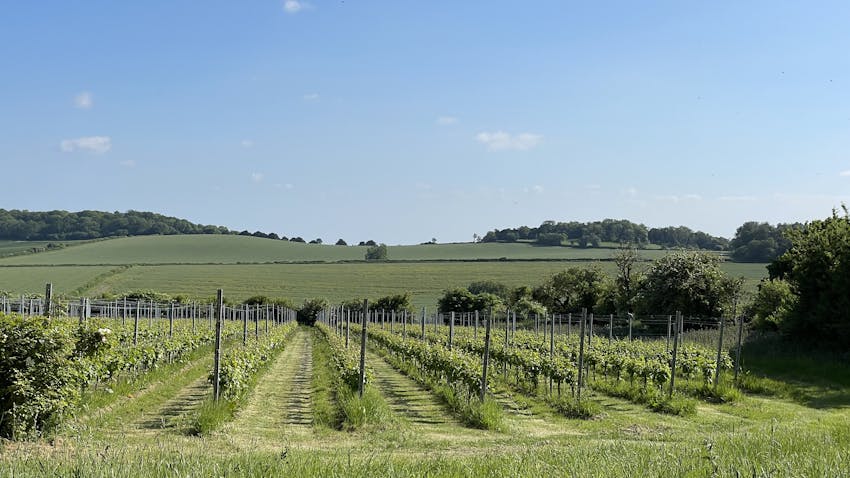 Manufacturer Up Close: Downton Distillery iconic location