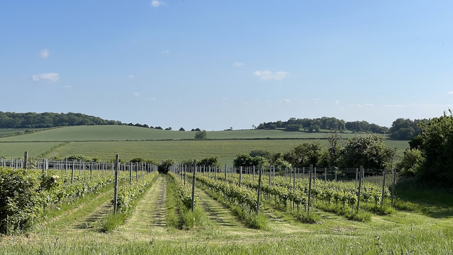 Manufacturer Up Close: Downton Distillery iconic location