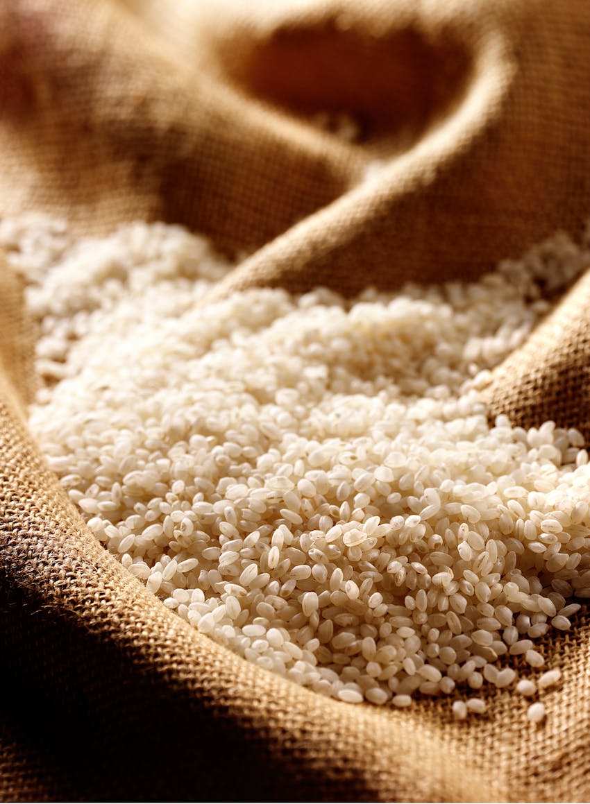 What is traditionally in paella?  Bomba rice
