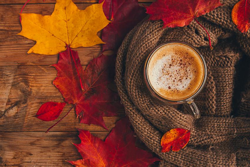 Fall Drinking Tea Best autumn drinks