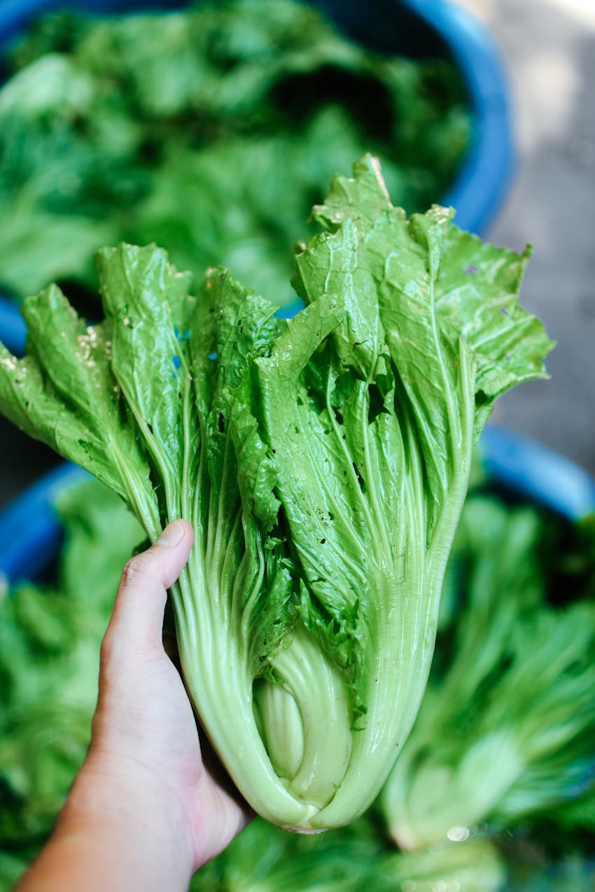 Best curry side dishes - mustard greens