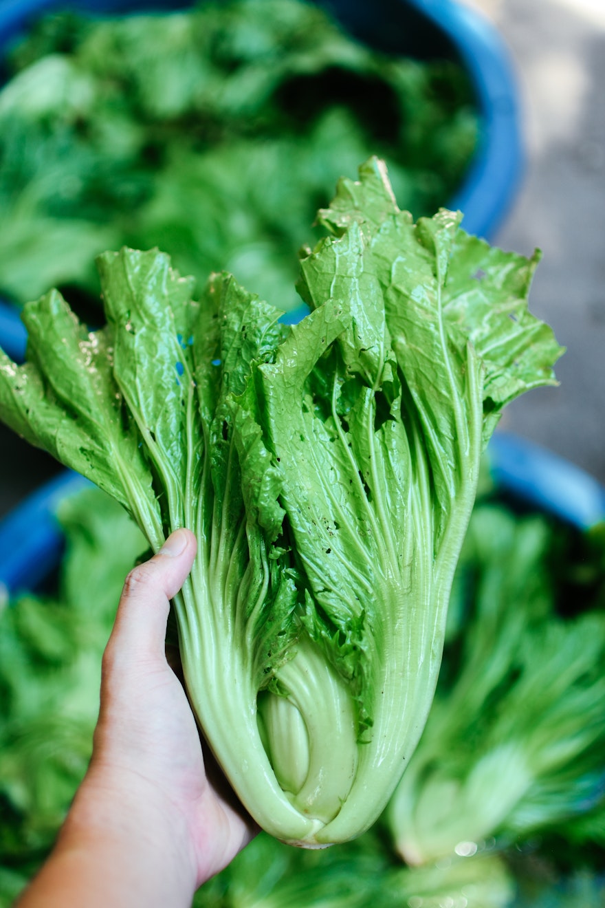 Best curry side dishes - mustard greens Best curry side dishes - mustard greens