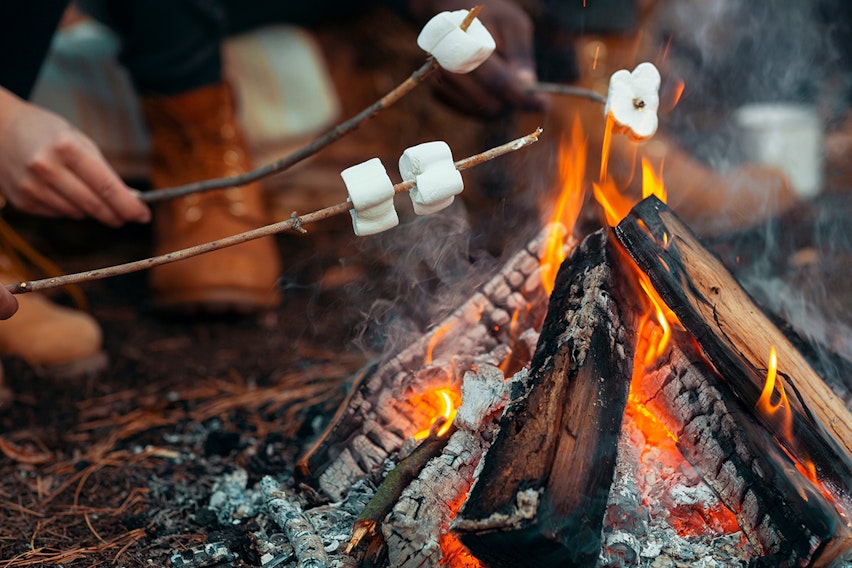 Easy things to cook over a fire Easy things to cook over a fire