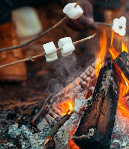 Easy things to cook over a fire Easy things to cook over a fire