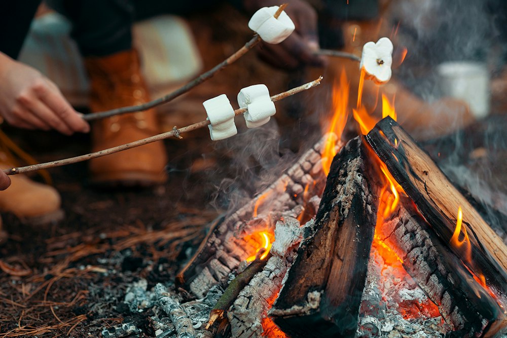 Small Cook Fire Easy things to cook over a fire