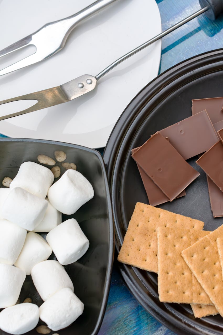 Easy things to cook over a fire - smores ingredients