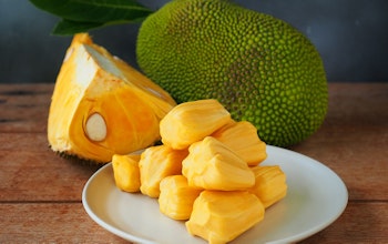 What is jackfruit? What is jackfruit?