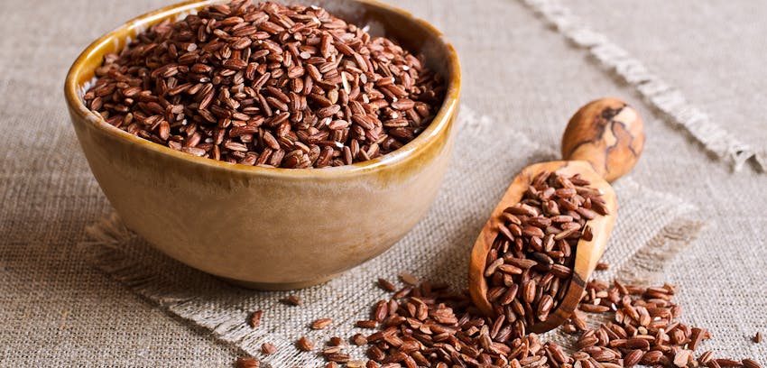 Tips for a low carb diet  - choose brown carbs