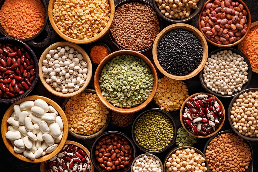 Pulses guide Pulses guide