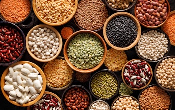 Pulses guide Pulses guide