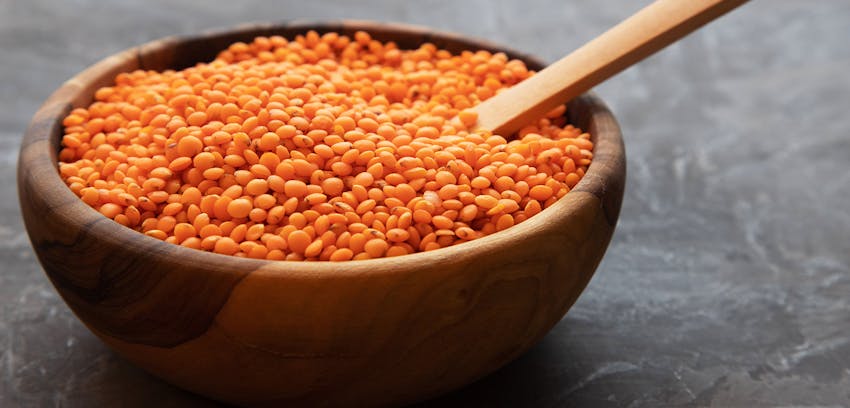 Pulses guide - red lentils