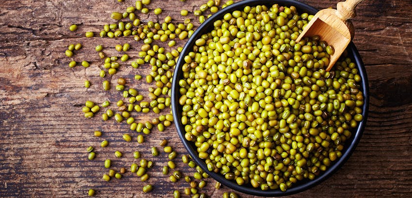 Pulses guide - moong beans