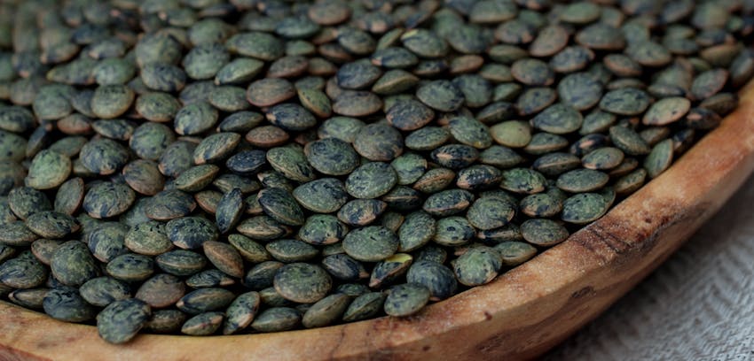 Pulses guide - puy lentils