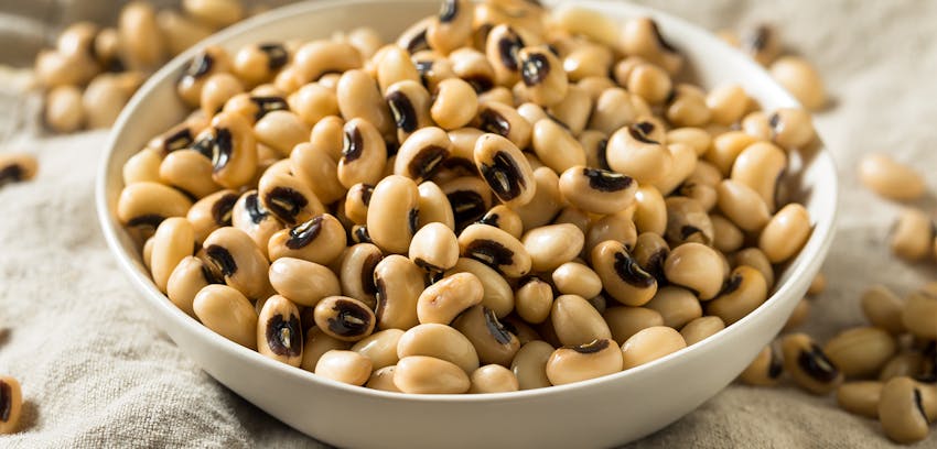 Pulses guide - black eye beans