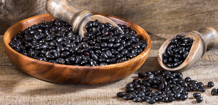 Pulses guide - black beans