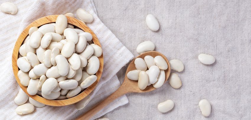 Pulses guide - haricot beans