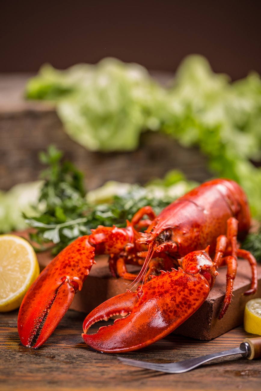 Shellfish allergy guide - Lobster