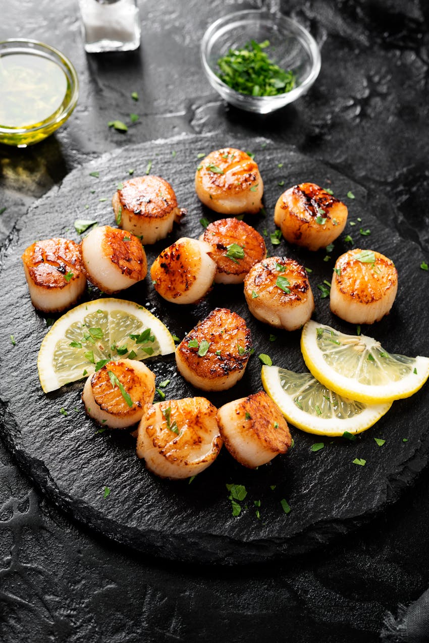 Shellfish allergy guide - scallops