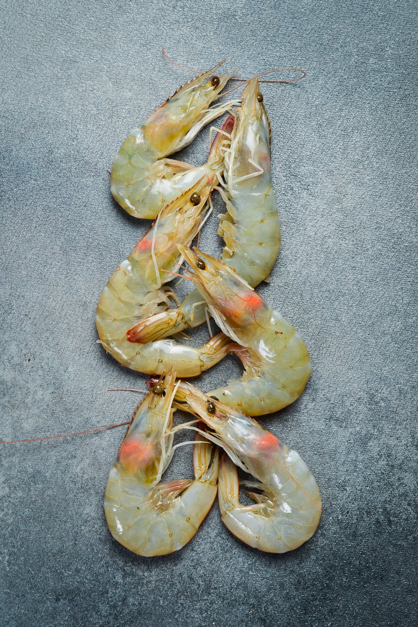 Best tapas dishes - prawns for gambas al ajillo