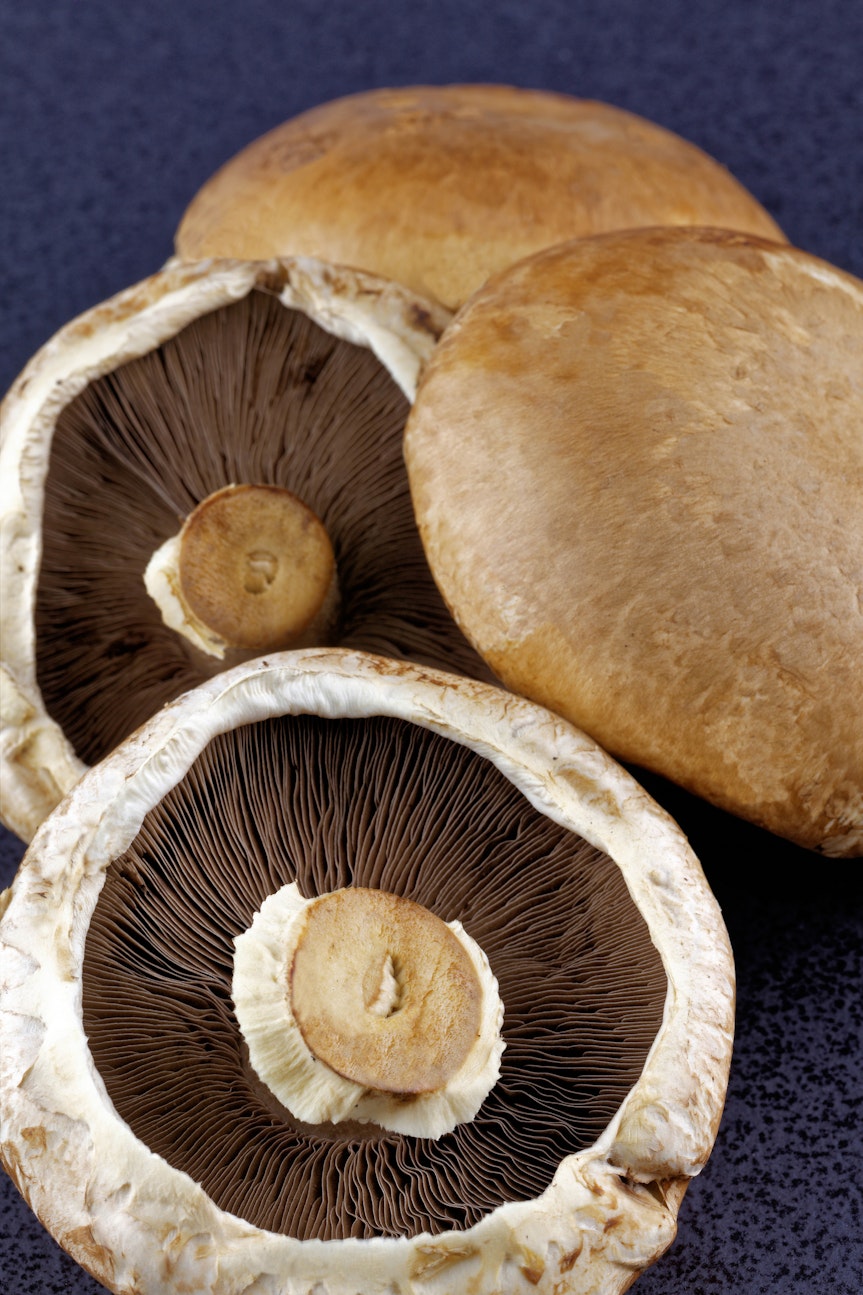 Mushroom guide - portobello mushrooms Mushroom guide - portobello mushrooms