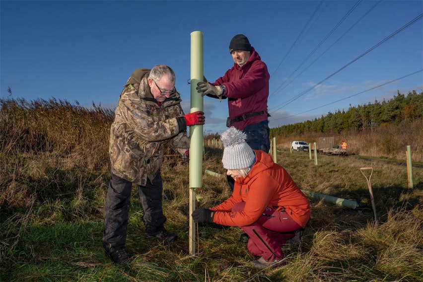 Erudus Out & About - Autumn 2025 - Great Northumberland Tree planting in Cramlington