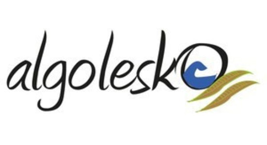 Data Pool Snapshot - Algolesko Data Pool Snapshot - Algolesko