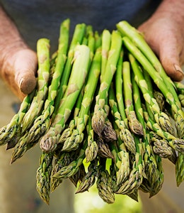 What’s the best way to cook asparagus? What’s the best way to cook asparagus?