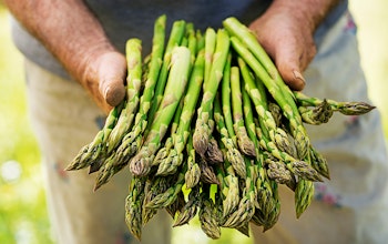 What’s the best way to cook asparagus? What’s the best way to cook asparagus?