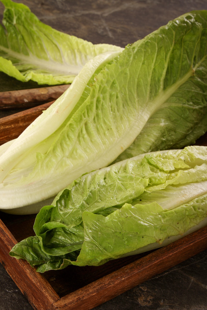 Best sandwich for low carb