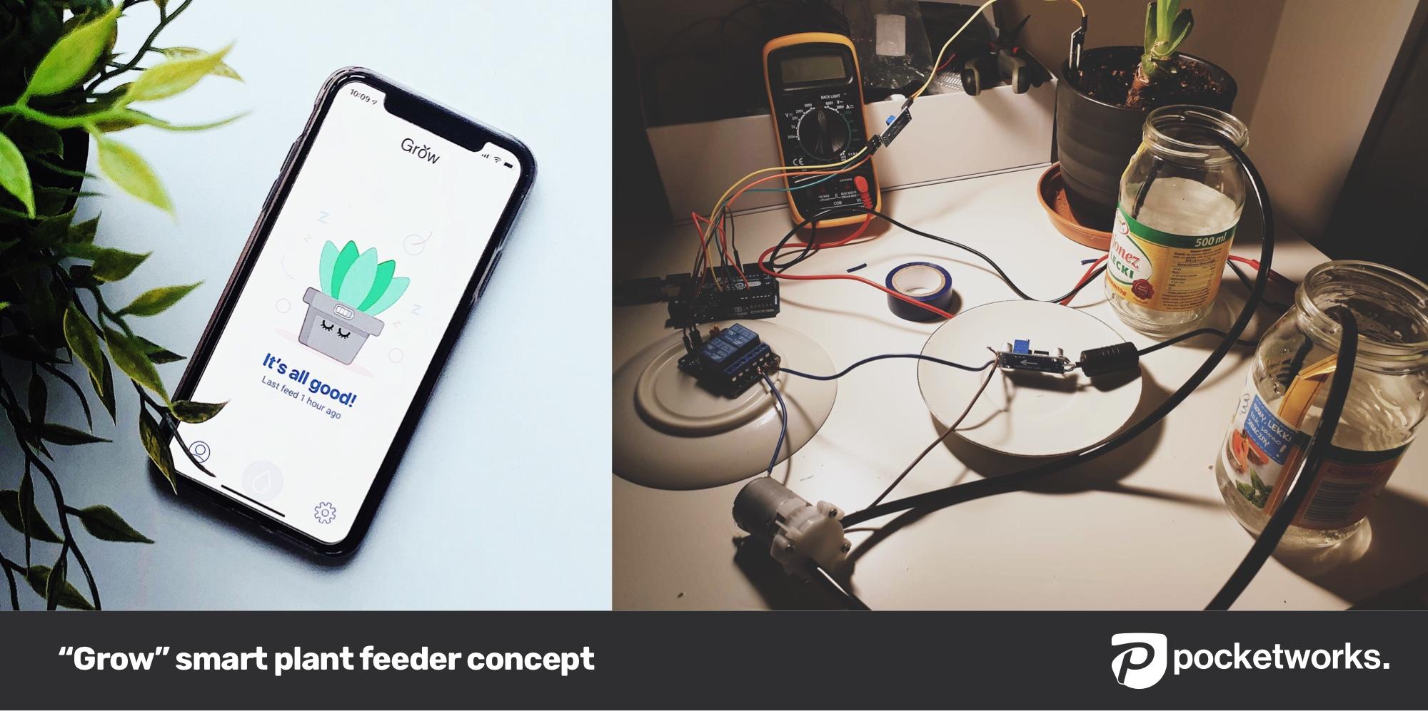 App developers Grow innovative office wellbeing project