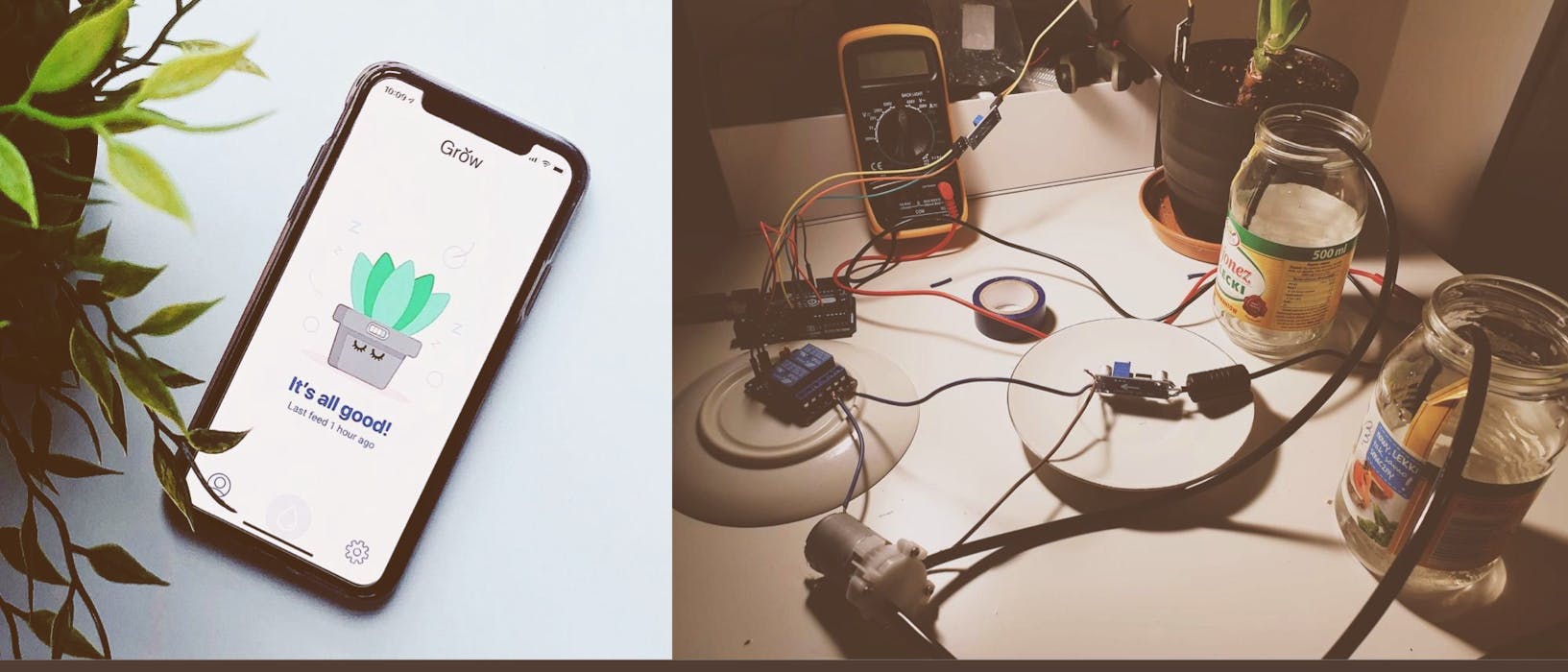 App developers Grow innovative office wellbeing project